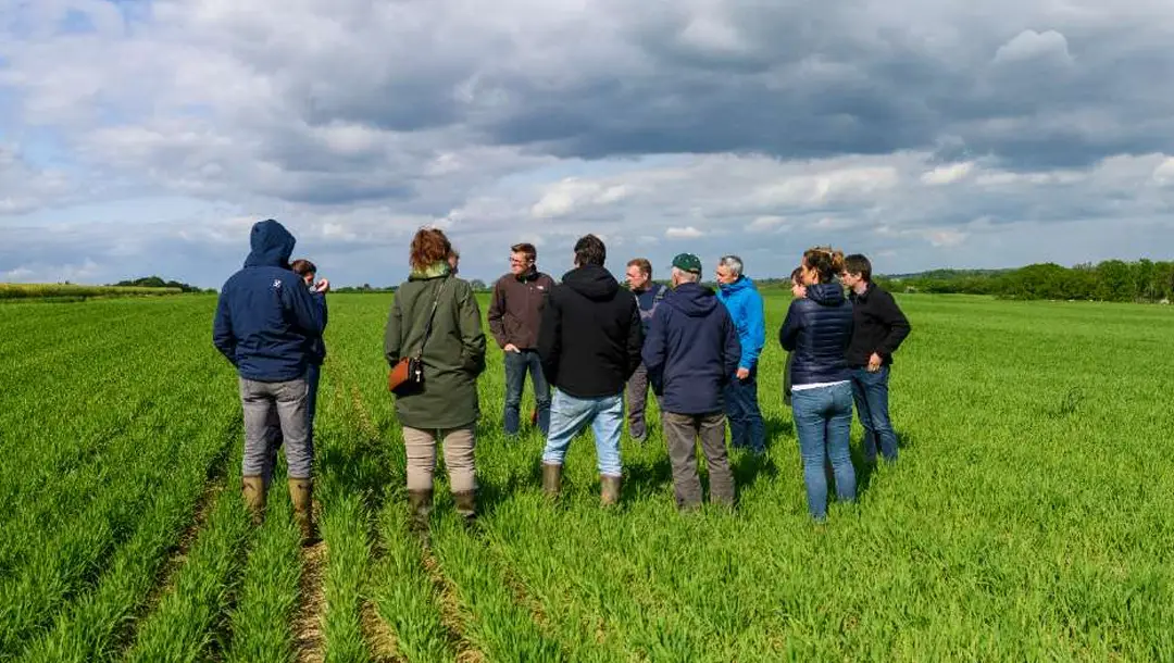 CultivAé leden op een veld