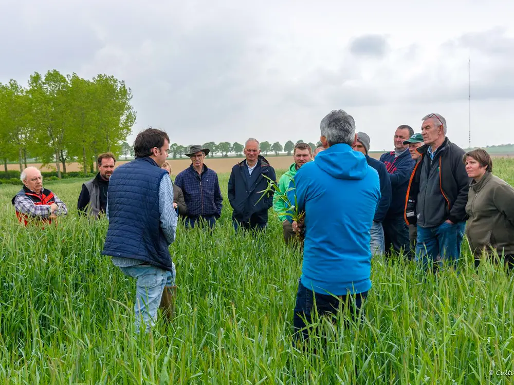 Agriculteurs dans un champ