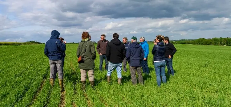 Groep mensen in een veld