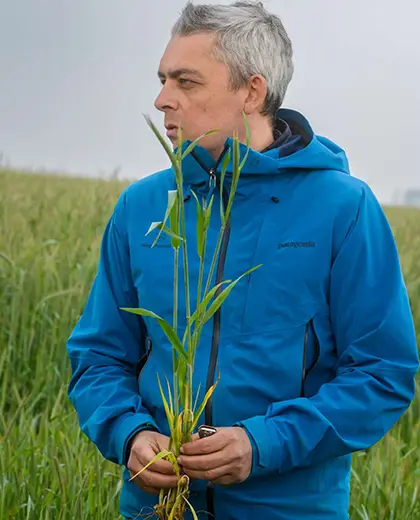 CultivAé