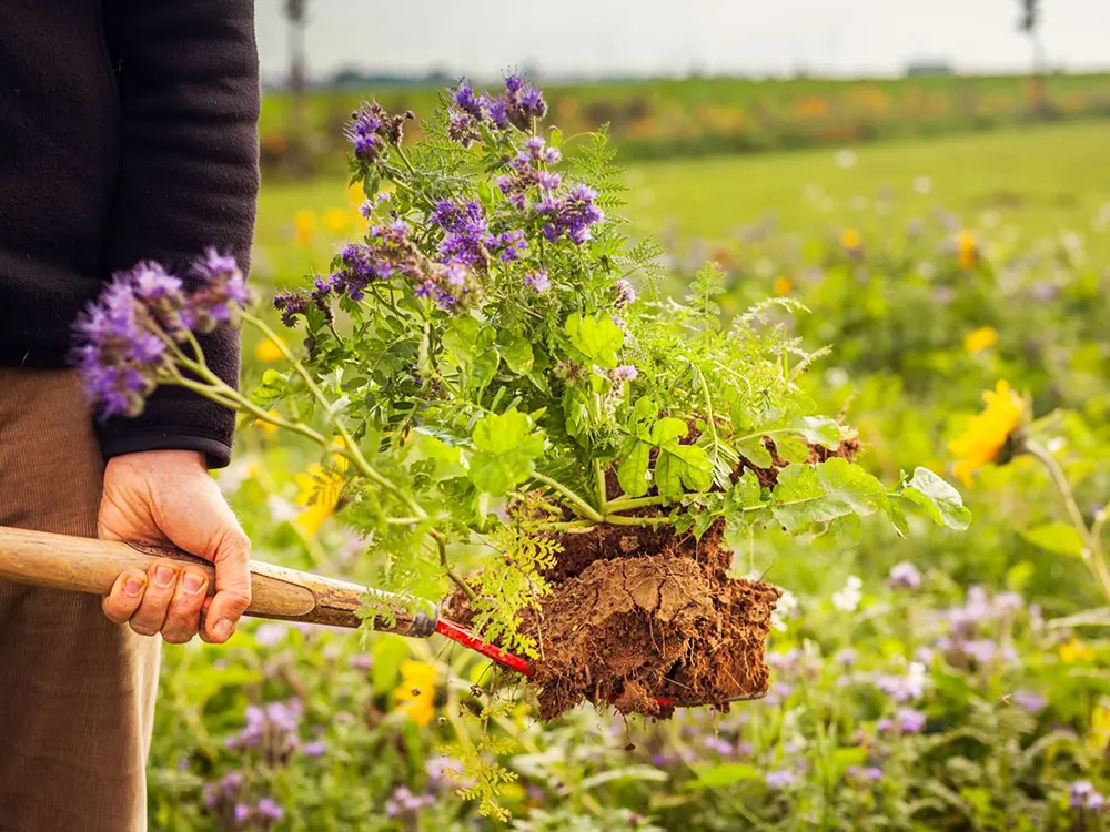 Werken in een veld