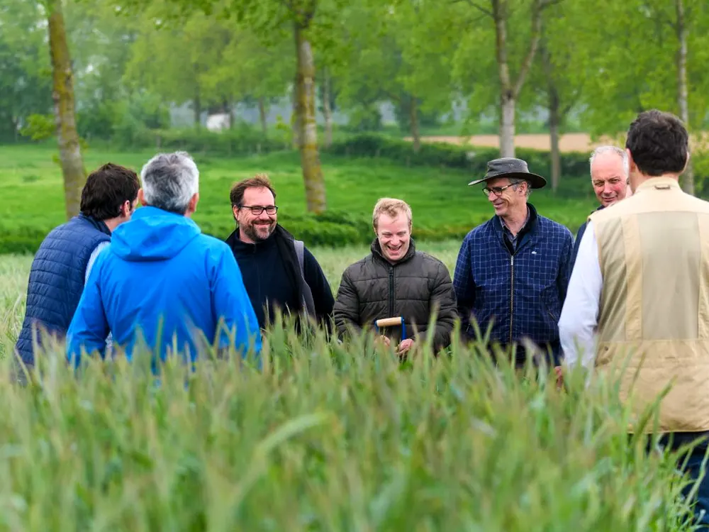 Landbouwers in een veld