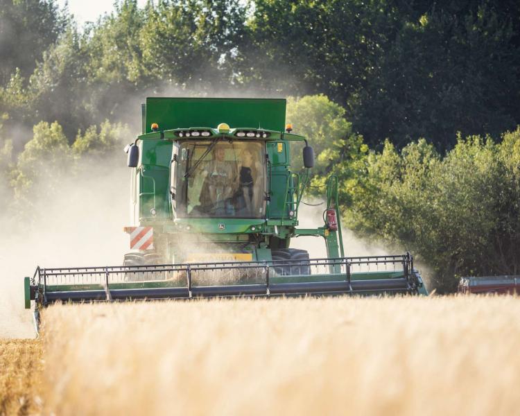 La Libre : l'orge 100 % pour les brasseurs