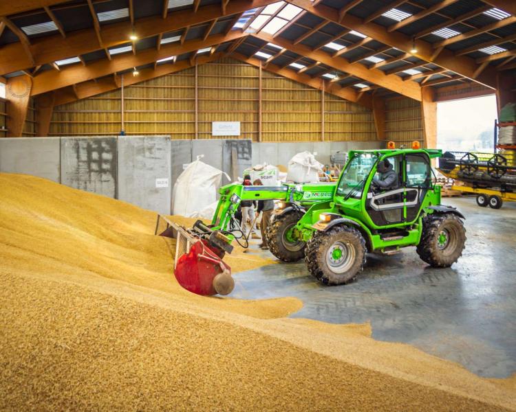 RTL info : La filière d'orge brassicole belge